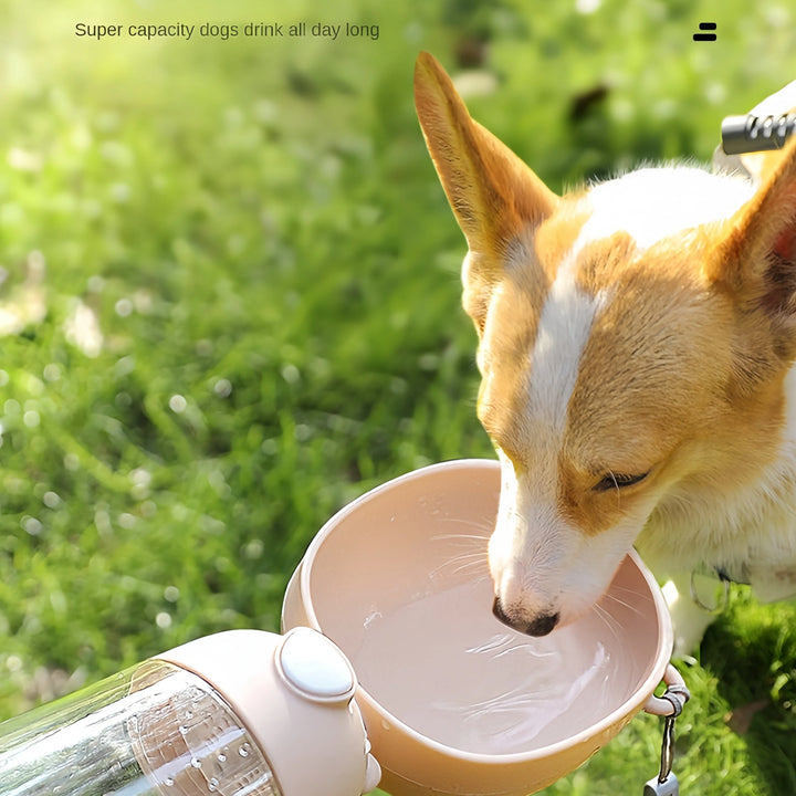 Dog Portable Water Bowl Portable Food Grade Material Dog